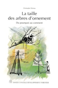 La taille des arbres d'ornement du pourquoi au comment