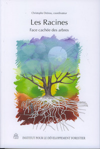 Les racines face cachée des arbres