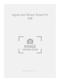 AGNEL AM STRAM GRAM PJ446 C'EST LA VIEILLE ETRAMBIRE 3 CANONS 3 PART