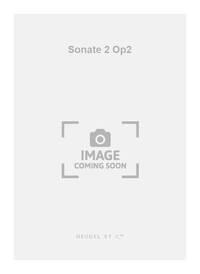 VIVALDI ANTONIO PIERRE SONATE 2 OP.2 VIOLIN HARPSICHORD OR PIANO BOOK