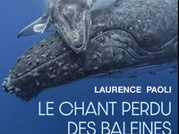 LE CHANT PERDU DES BALEINES - QUAND LA POLLUTION SONORE ETOUFFE LES VOIX DE L'OCEAN