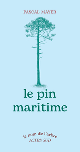 Le Pin maritime