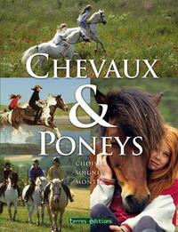 CHEVAUX ET PONEYS