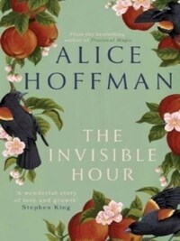 THE INVISIBLE HOUR