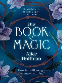 The Book of Magic (Book 4)