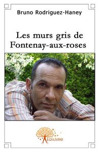 Les murs gris de fontenay aux roses