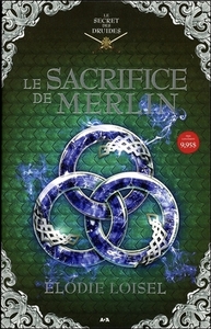 Le sacrifice de Merlin - Le secret des druides T4