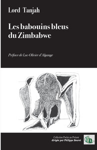 LES BABOUINS BLEUS DU ZIMBABWE