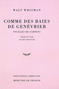 Comme des baies de genévrier