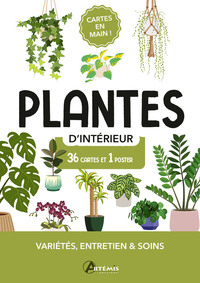 Plantes d'intérieur