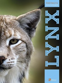 Le lynx