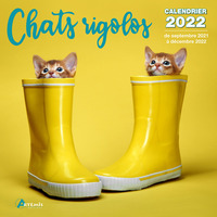 Calendrier Chats rigolos 2022