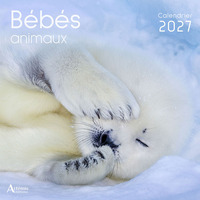Calendrier Bébés animaux 2027