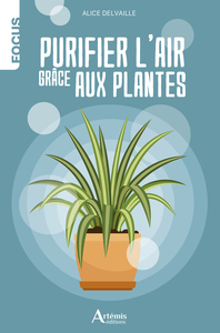 Purifier l'air grâce aux plantes