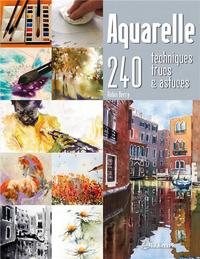 aquarelle, 240 techniques, trucs et astuces