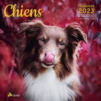 Calendrier chiens 2023