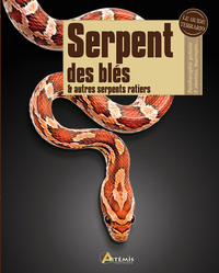 SERPENT DES BLES ET AUTRES SERPENTS RATIERS