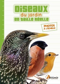 LES OISEAUX DU JARDIN EN TAILLE REELLE