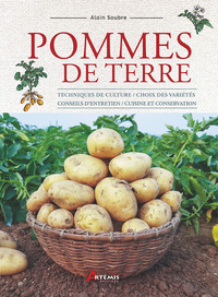 Pommes de terre