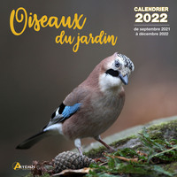 Calendrier Oiseaux du jardin 2022