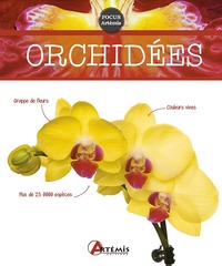 ORCHIDEES