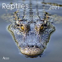 Calendrier Reptiles 2027