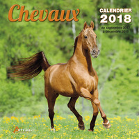 CHEVAUX (2018)