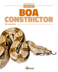 Boa constrictor