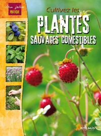 Cultivez les plantes sauvages comestibles