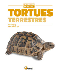 TORTUES TERRESTRES