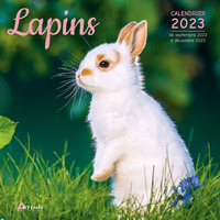 Calendrier lapins 2023