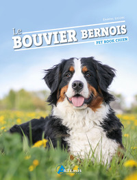 Le bouvier bernois