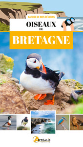 Oiseaux de Bretagne