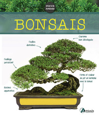 Bonsaïs - Nouvelle édition