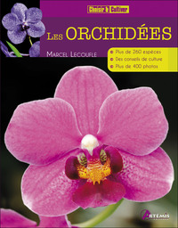 Les orchidées