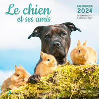 Calendrier Le chien et ses amis 2024