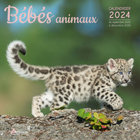 Calendrier Bébés animaux 2024