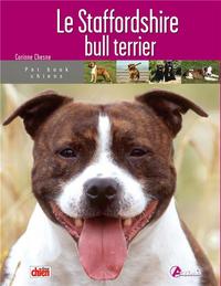 staffordshire bull terrier