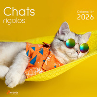 CALENDRIER CHATS RIGOLOS 2026