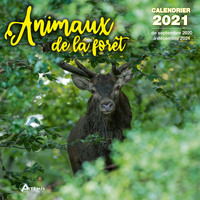 Calendrier Animaux de la forêt 2021