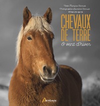 Chevaux de terre et vent d'hiver