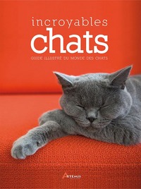 INCROYABLES CHATS