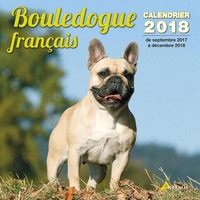 BOULEDOGUE FRANCAIS (2018)