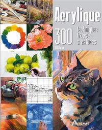 ACRYLIQUE, 300 TECHNIQUES, TRUCS ET ASTUCES