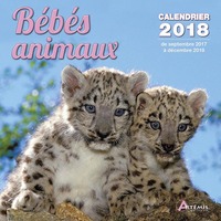 BEBES ANIMAUX (2018)