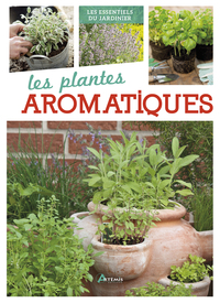 PLANTES AROMATIQUES