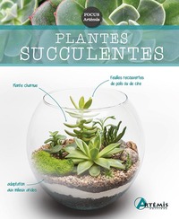 PLANTES SUCCULENTES