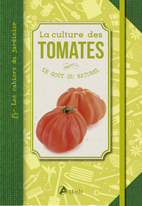 La culture des tomates