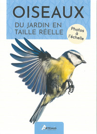 OISEAUX DU JARDIN EN TAILLE REELLE - PHOTOS A L'ECHELLE