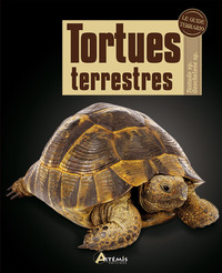 Tortues terrestres